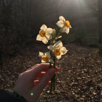 Çağla Bütünbaş (@caglabutunbas) Twitter profile photo