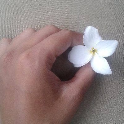 FernandaPolic15's profile picture. 23 anos, feminina.
desenhar,
jujutsu kaisen,
sonic,
bnha,
helluva boss,
the amazing digital circus,
shitpost,
anime/cartoons e
games
😊😊😊😊🤓🤓🤓🤓
