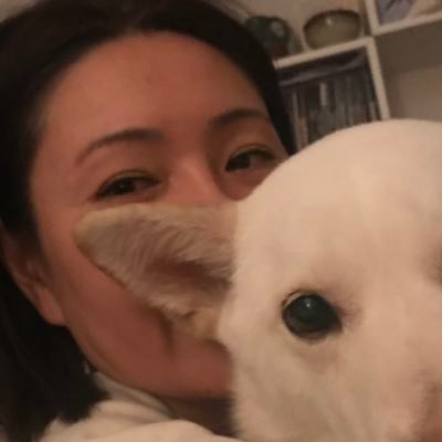 *textile designer *progressive *democratic socialist *medicare for all *fight for $15 *green new deal *tuition free public college *human rights *animal rights