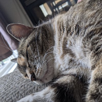 Laymandaman's profile picture. Hater of the Oxford comma
