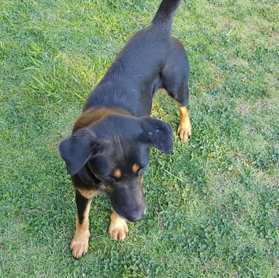 Leonard27910604's profile picture. 