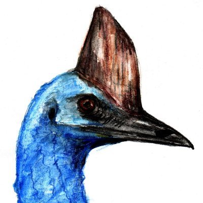 Darius Nauさんのプロフィール画像