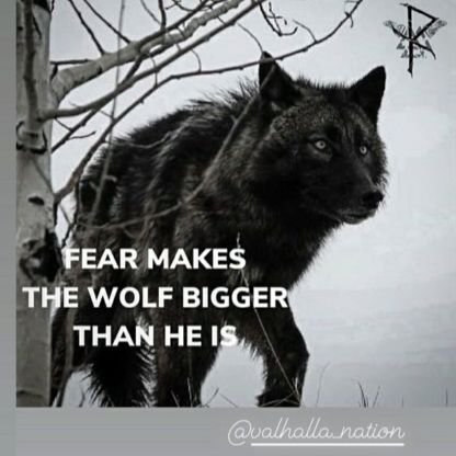 bigreenturbo's profile picture. Dragon believer. Freedom is paramount. More boost! Don't feed the gov't. Taxation is theft. No lists. Oil patch and  ranching. #eatbeef