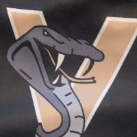 Georgia Vipers 2022(@GameonV) 's Twitter Profile Photo