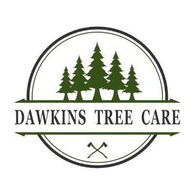 Local Tree Care Experts! The Dawkins have been working in the woods and servicing customers trees for years. Best local tree professionals in the Olympia area.