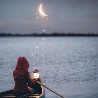 shymaa (@sh20231130) 's Twitter Profile