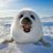 Image de profil de teo_dfr