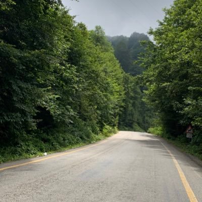 almaa1716's profile picture. 