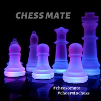 chess mate(@chessomate) 's Twitter Profile Photo