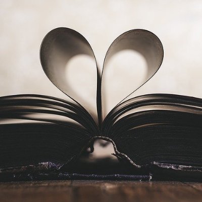 Stadtbibliothek Chemnitz,
Bibliotheks-IT / Digitale Entwicklungen