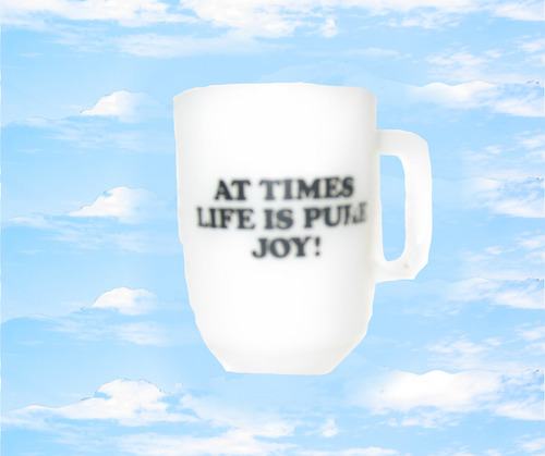 newcampers's profile picture. Flower Orgy / Eola  / Son of Dad / Raajmahal / Regal Degal / etc...