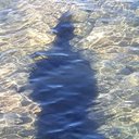 Steve Lauria - @SteveLauria - Twitter