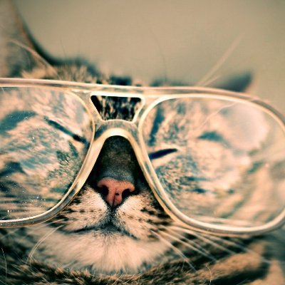 GreenHealthTip's profile picture. What's new and interesting in the world of Healthy Living & Wellness