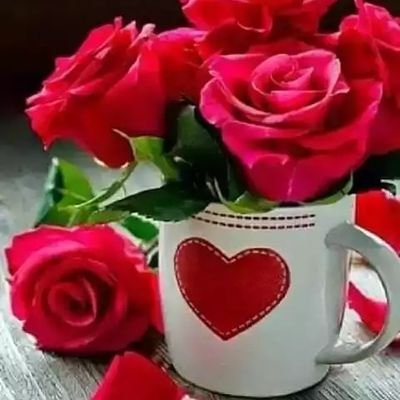 asifjaved6480's profile picture. Hi