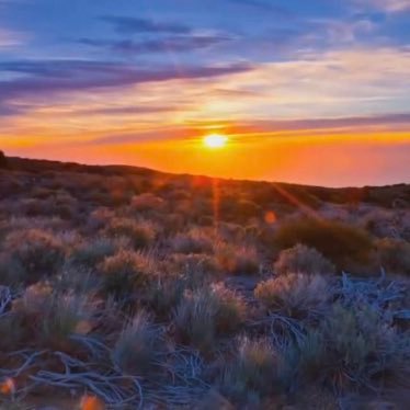 NAWAF_AR9's profile picture. (يا أيها الناس اعبدوا ربكم الذي خلقكم والذين من قبلكم لعلكم تتقون)