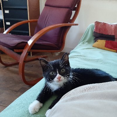 Nesiba_Scob's profile picture. Plein de trucs en -iste  (gauchiste, féministe, zadiste...).
Un peu de droit, beaucoup de travers.
Politique, art, humour et chatons.