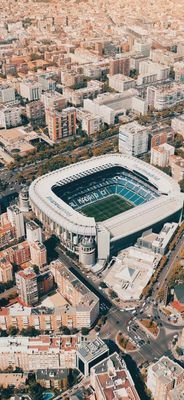 Giovane39169274's profile picture. 