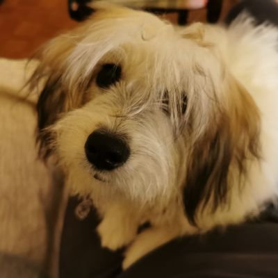 o_natasa's profile picture. 