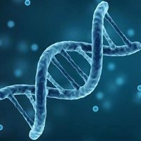 Biology Graduate Student Organization of OU (@ou_bgso) 's Twitter Profile Photo Biology Graduate Student Organization of OU (@ou_bgso) 's Twitter Profile Photo