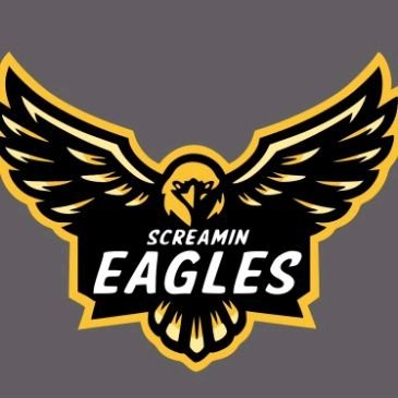 ScreaminEagles_ Profile Picture