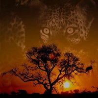 Mark Sampson (@marksampsonct) 's Twitter Profile