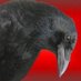 Corvid 317 (@corvid317) Twitter profile photo