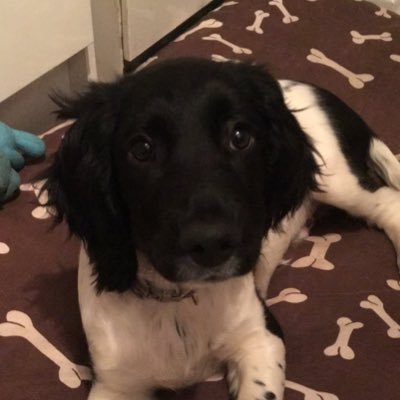 melcambage's profile picture. 