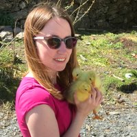 Hannah (@muddy_gas_doc) 's Twitter Profile