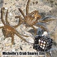 Michelle's Crab Snares🦀🎣🦞(@mcsnares) 's Twitter Profile Photo