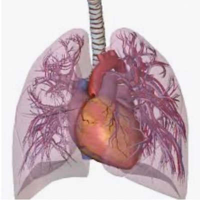 ACPEducate's profile picture. Single twitter site to follow and get access to advanced clinical practice FOAMed. Follow to access free education to improve care for all our patients!