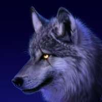 Wolfy(@BigBadWolfWolfy) 's Twitter Profile Photo