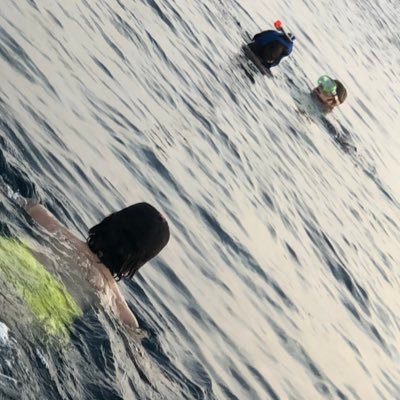 alfalahi_azoz's profile picture. لاتسقني كأس الحياة بذلة،،،،بل أسقني بالعز كأس الحنظلِ