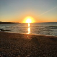 sefa0246 (@sefa0246) Twitter profile photo