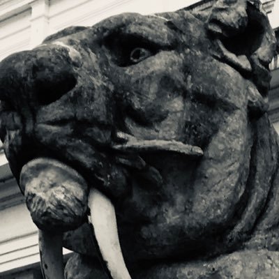 toni_vtk's profile picture. 