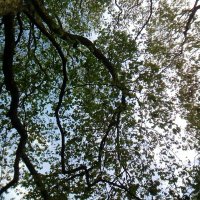 Kenneth Hepburn-Bond #FBPE 🎗 (@hepburnken) 's Twitter Profile