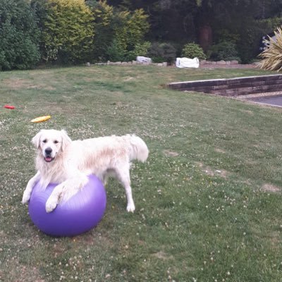 85Fergus's profile picture. Striking a balance between a blacksmith and a wordsmith!