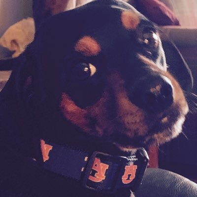 VickiPuckett9's profile picture. Mom, Special Ed. Teacher, Dog Lover but most of all, I have FAITH and BELIEF in GOD’s  plan!!!