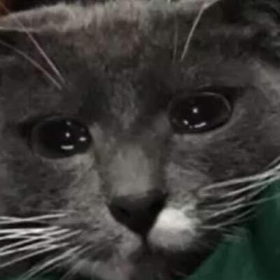 Just a fragger • Twitch Affiliate