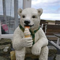 Dr Ryann Sowden (@ryannsowden) Twitter profile photo
