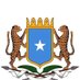 Somali Embassy-Syria🇸🇴 (@somaliainsyria) Twitter profile photo