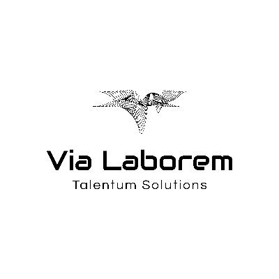 VLaborem's profile picture. Somos "expertos en personas"