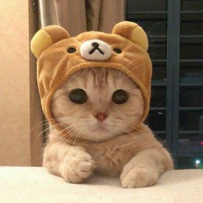 lalalula~さんのプロフィール画像