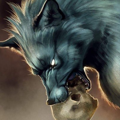Wolfkingg Profile Picture