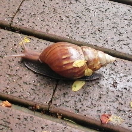 eVMQHaGFR5GPdAy's profile picture. 爱自由，爱浪漫。爱读书，爱思考，爱行走。