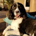 Douglas Brewer - @Dabrew4 - Twitter