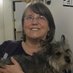 Janice Bunting🌻 (@janicebunting) Twitter profile photo Janice Bunting🌻 (@janicebunting) Twitter profile photo