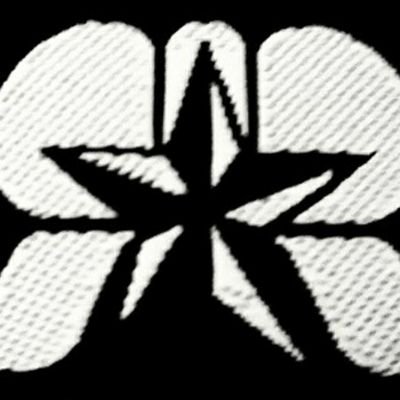 radicalriffs's profile picture. Social Commentary Lifestyle Brand