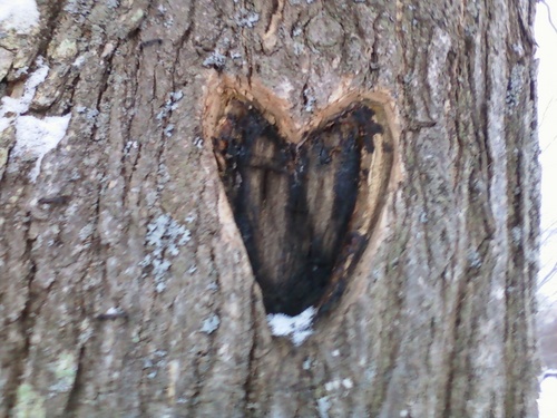 francis487's profile picture. 