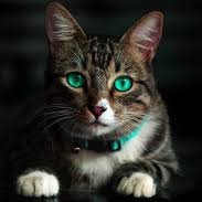 kdrns33's profile picture. 