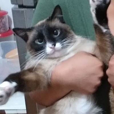 Então você é desses?!

Meu canal: https://t.co/hWSV01GH2d